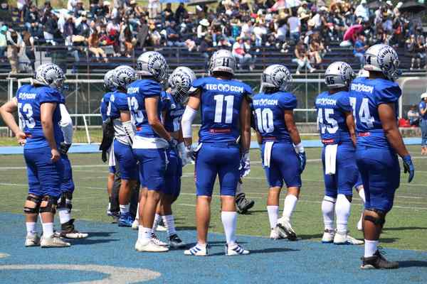 What Is a Blitz in American Football? Defensive Strategy Explained