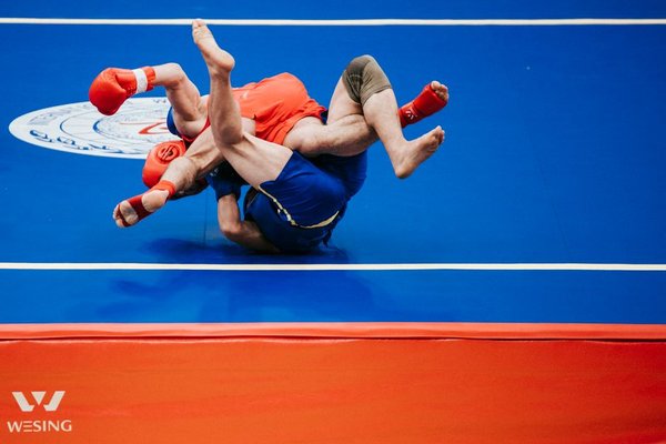 combat sports governing bodies uk