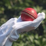 Test vs ODI vs T20 Cricket: What Is the Difference?